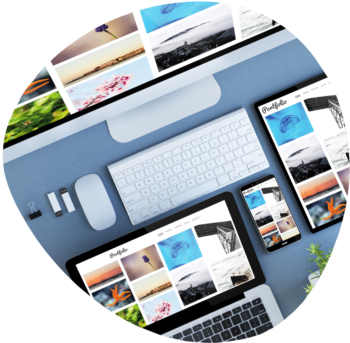 Des solutions web sur mesure pour TPE et indépendants